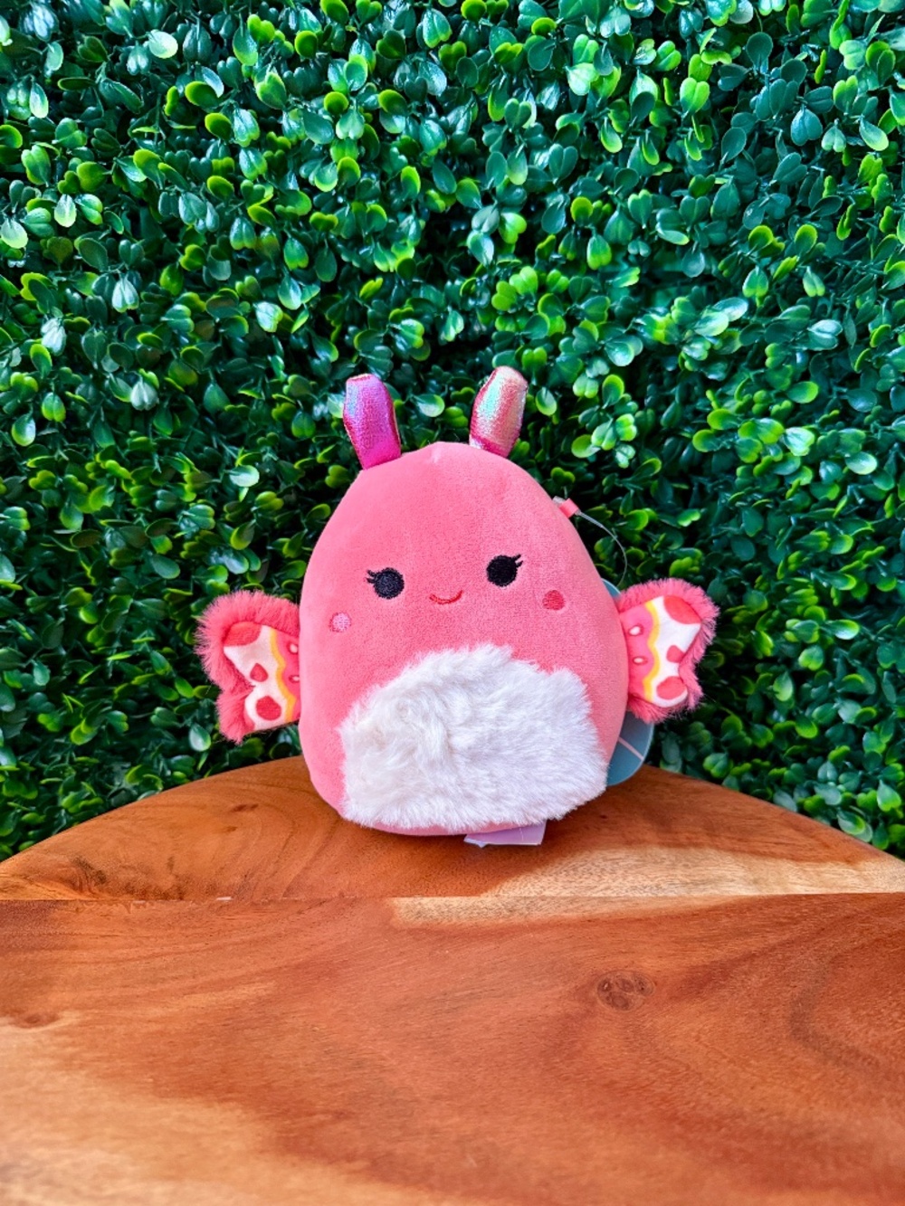 Tamlyn the Moth 5” Mystery Scented Squishmallow